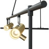 Подвесная люстра MAYTONI TECHNICAL RAMI золото MOD128PL-06GB